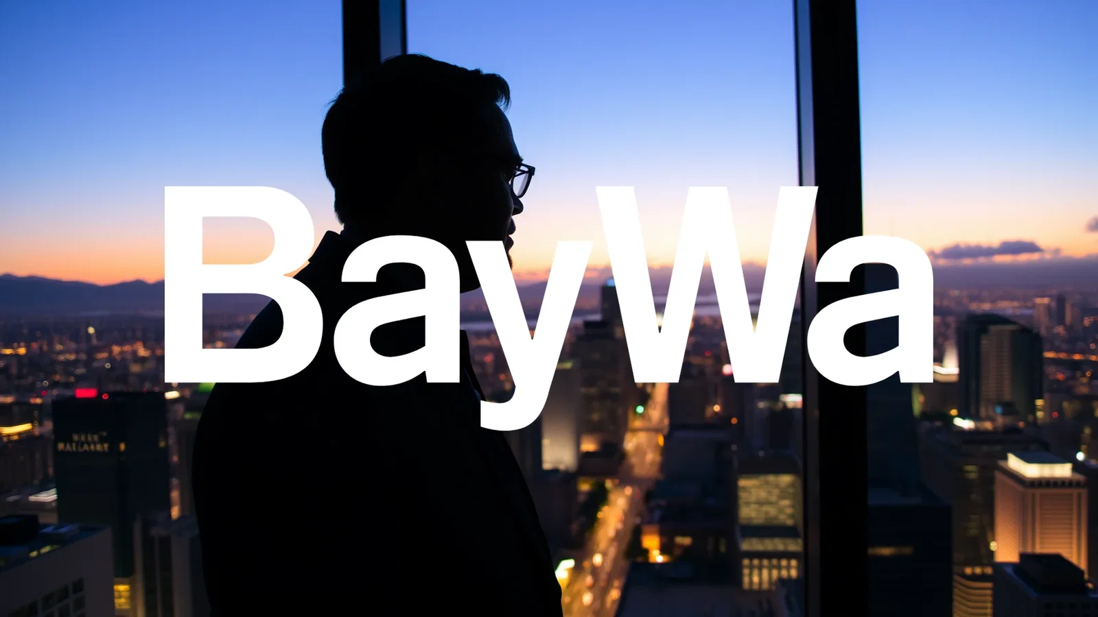 BayWa Stock