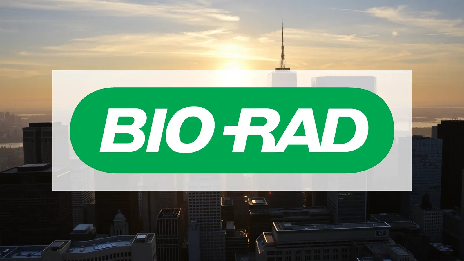 Bio-Rad Laboratories Stock