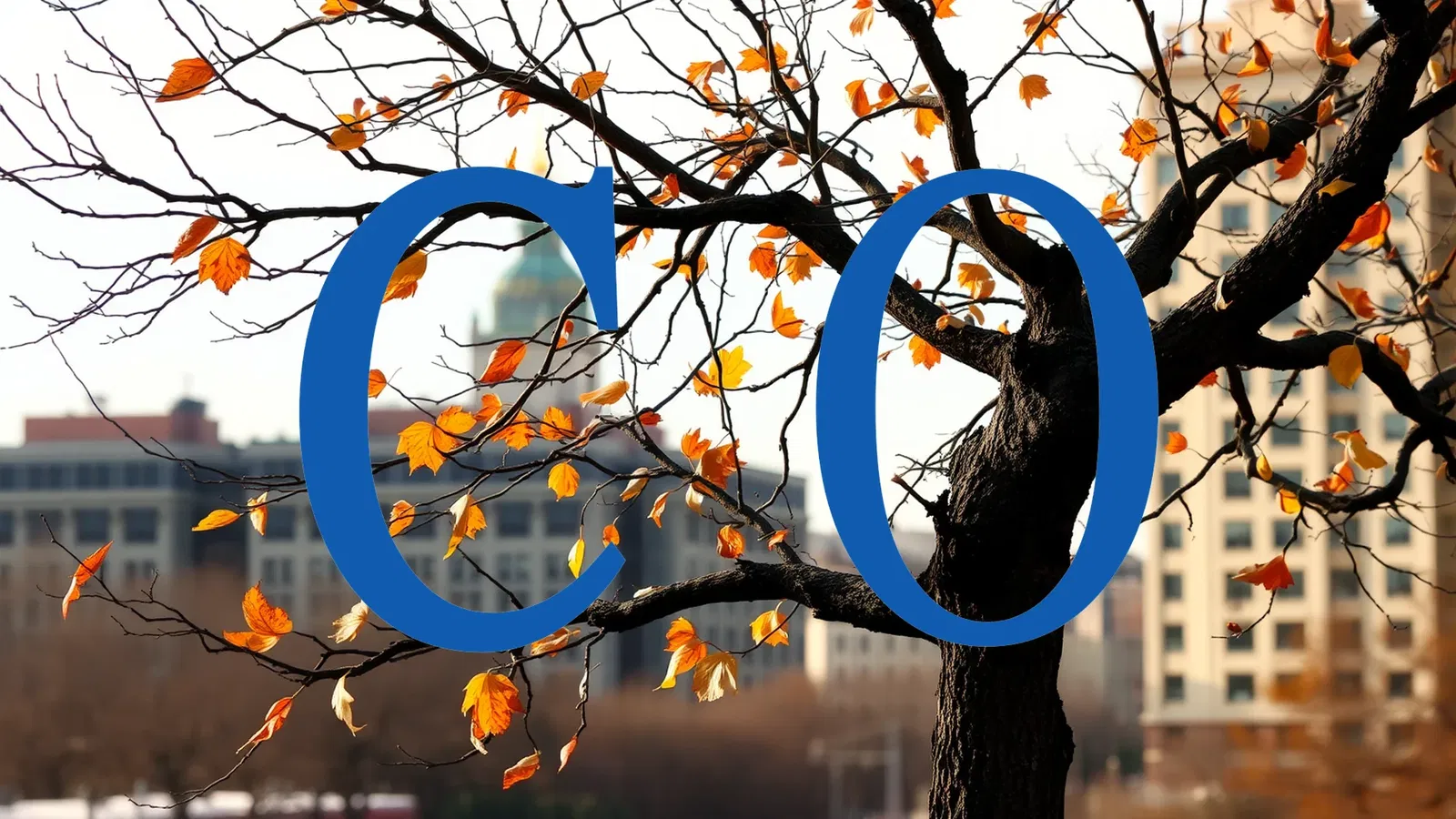 Community Healthcare Stock