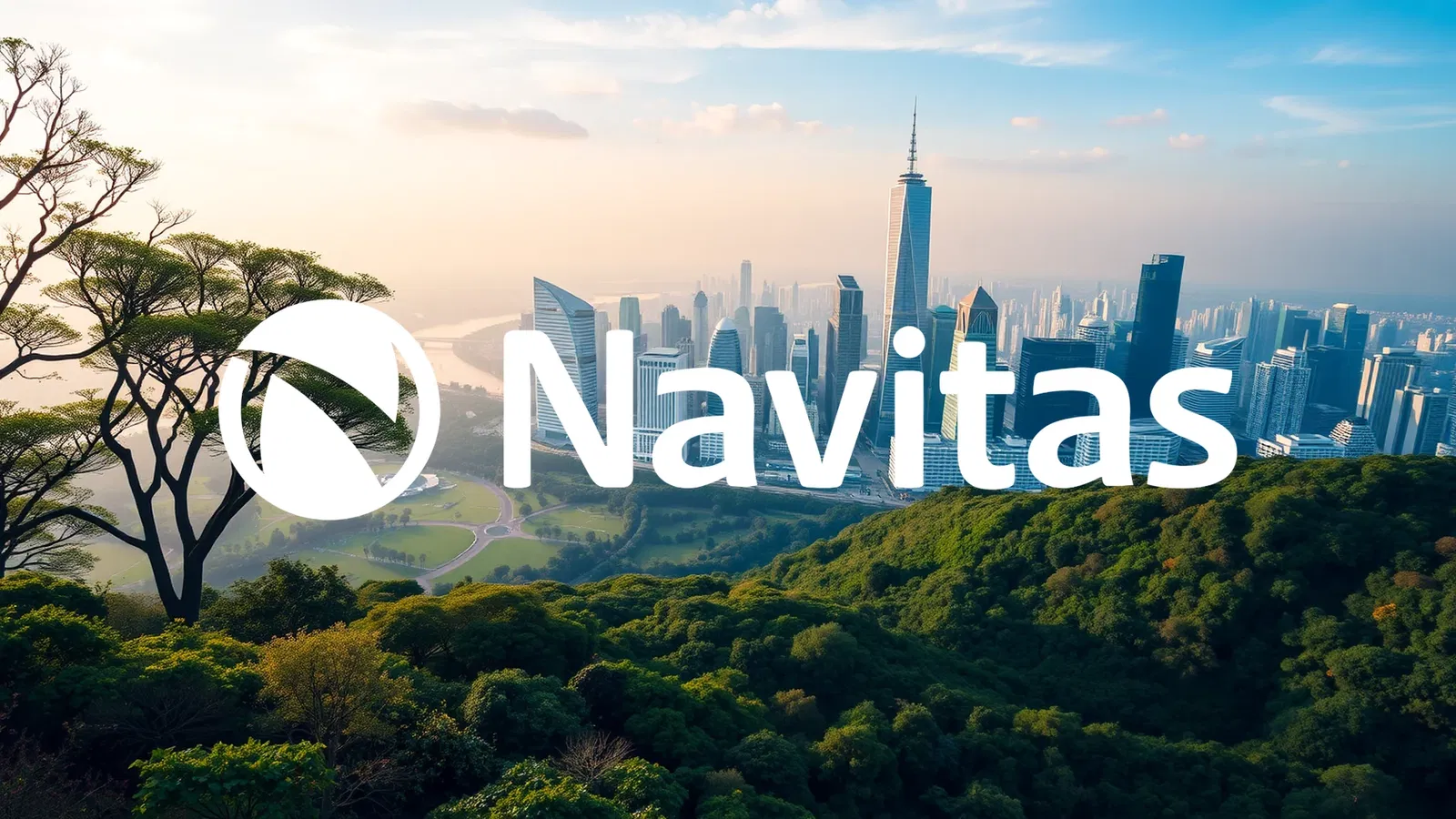 Navitas Semiconductor Corporation Stock