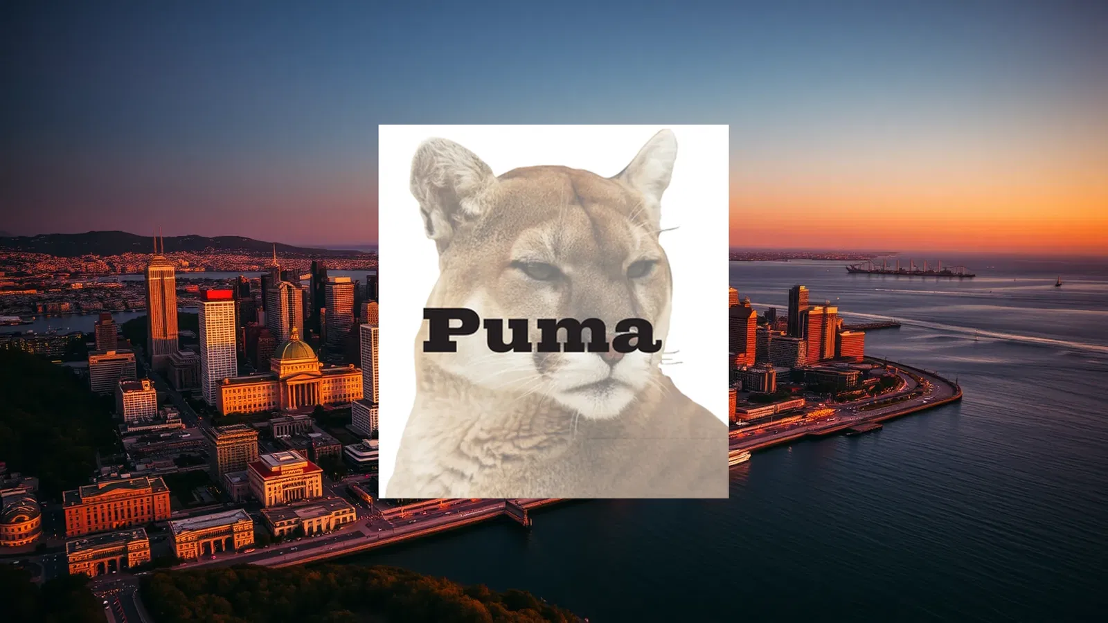 Puma Biotechnology Stock