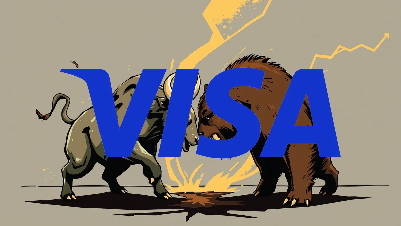 Visa Stock